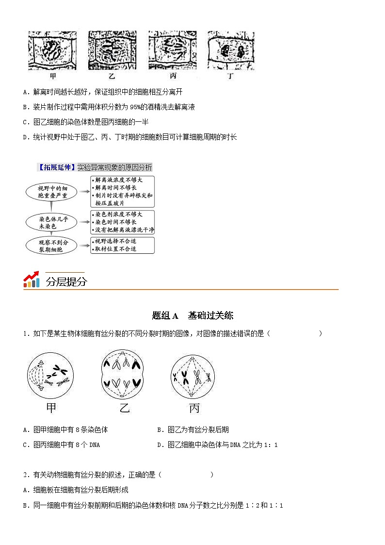 人教版高中 生物(必修一) 同步精品讲义6.1.2 动物细胞的有丝分裂、无丝分裂及观察根尖分生区组织细胞的有丝分裂（2份打包，原卷版+教师版）03