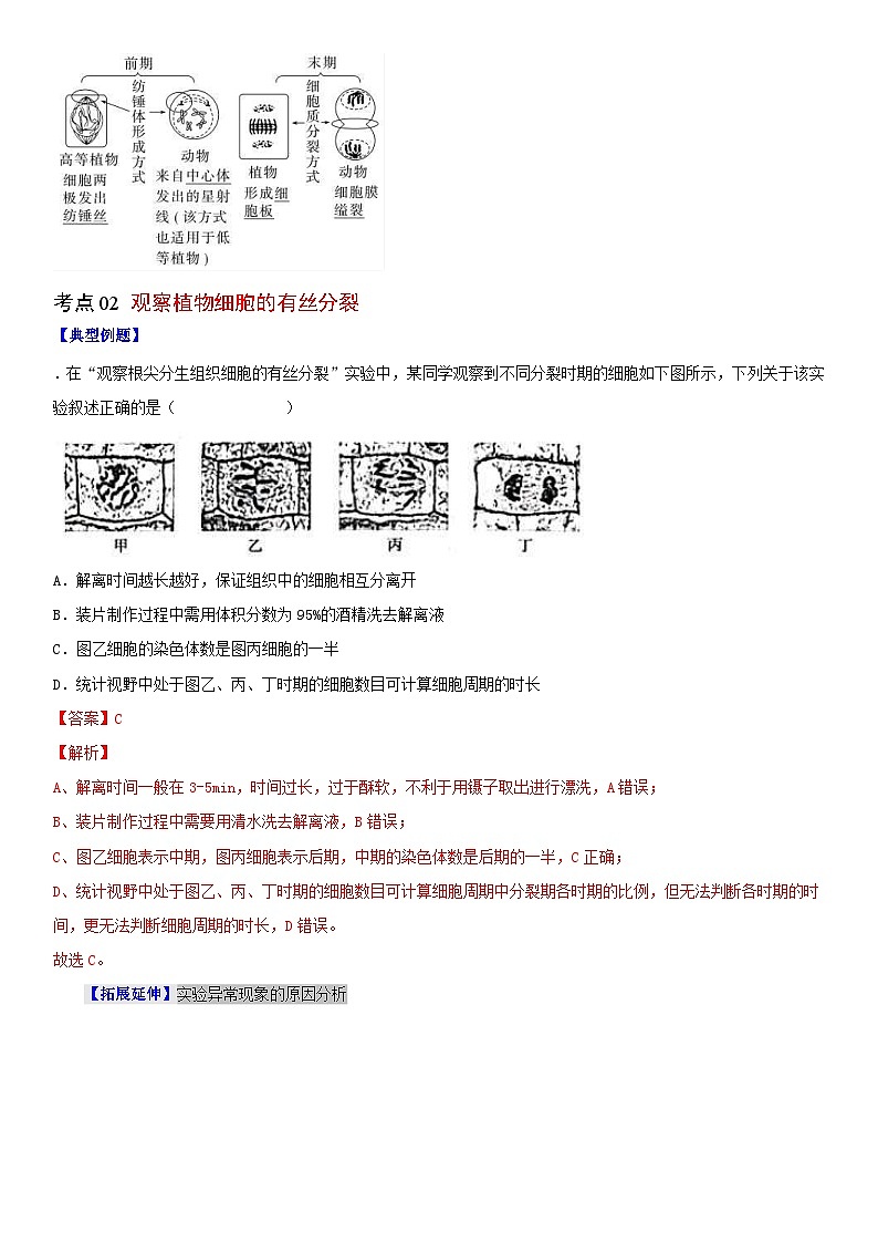 人教版高中 生物(必修一) 同步精品讲义6.1.2 动物细胞的有丝分裂、无丝分裂及观察根尖分生区组织细胞的有丝分裂（2份打包，原卷版+教师版）03