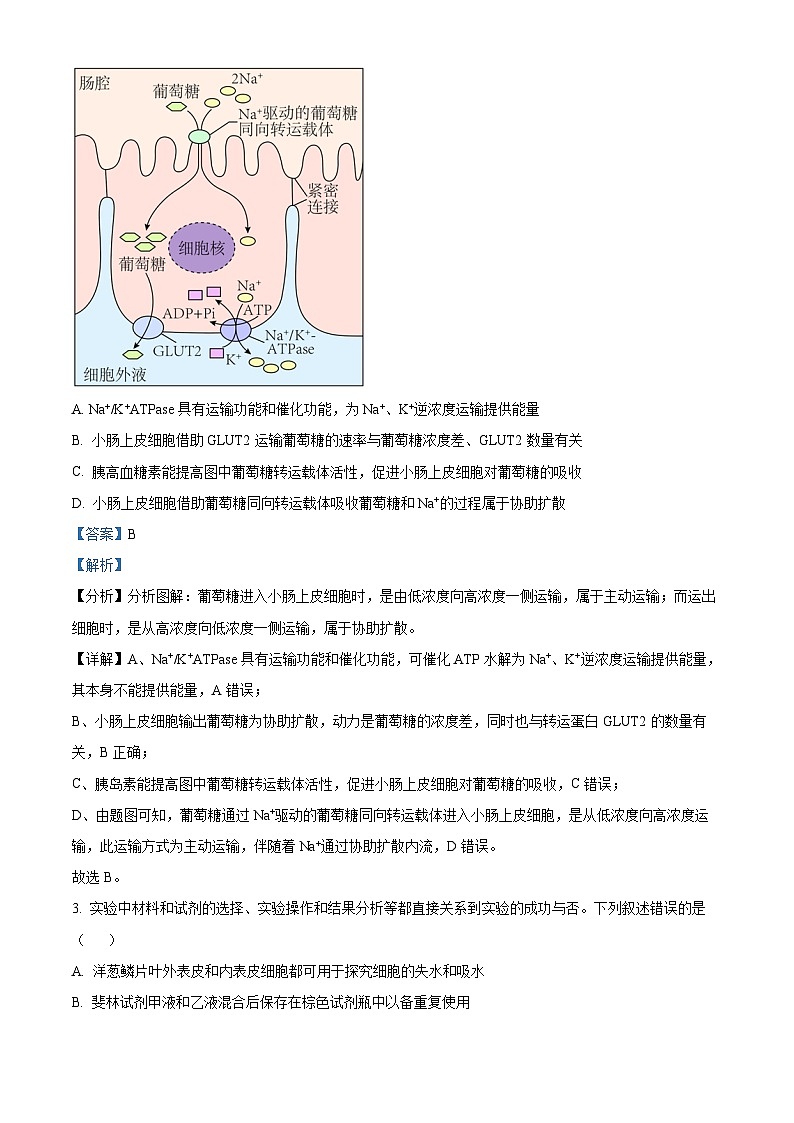 2023届江苏省苏州市八校高考三模适应性检测生物试题（解析版）02