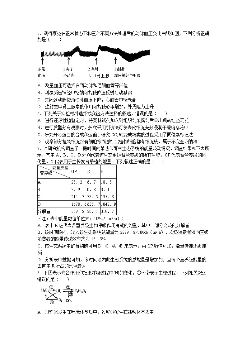 2024届湖北省新高考全国Ⅰ卷模拟-生物试卷第2页