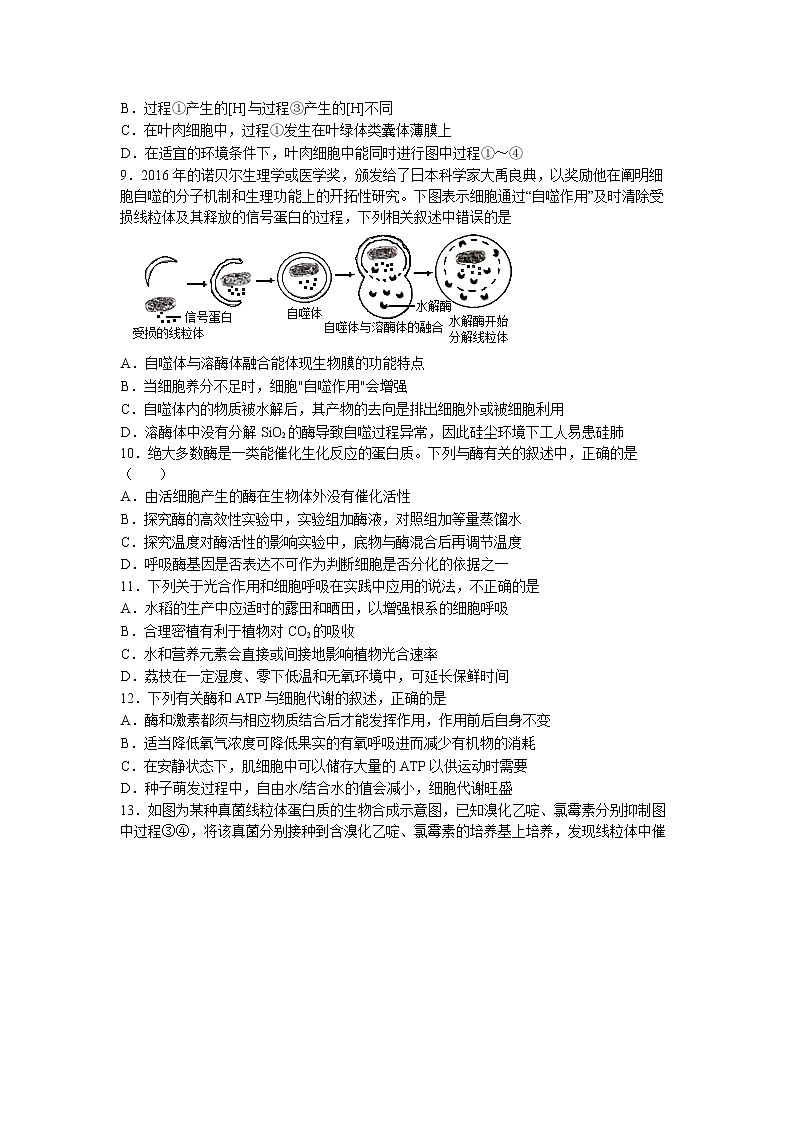 2024届湖北省新高考全国Ⅰ卷模拟-生物试卷第3页