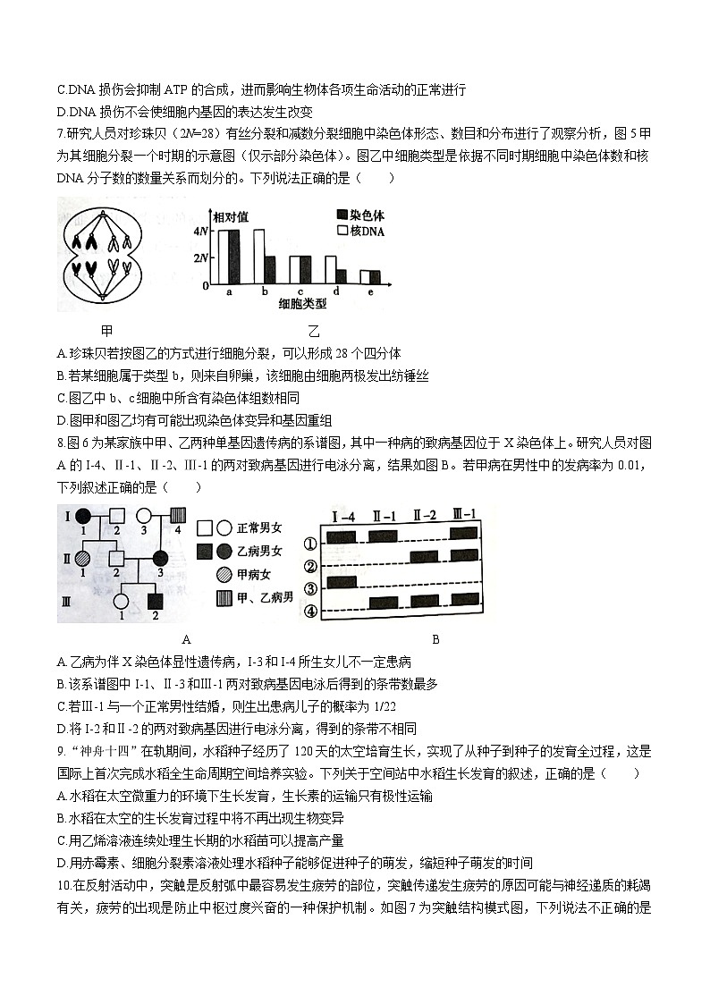 贵州省六校联盟2023-2024学年高三上学期高考实用性联考（一）生物试题(无答案)第3页