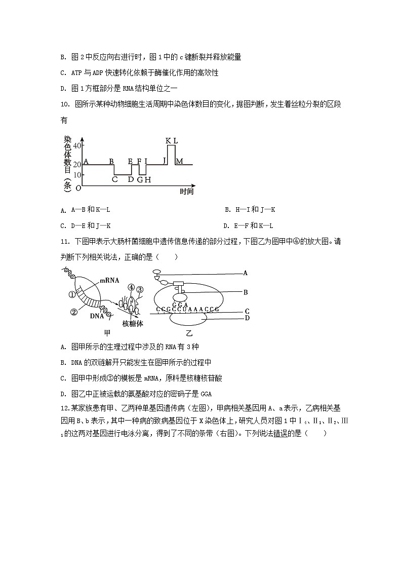 江西省新余市实验中学2022-2023学年高一下学期期末生物试卷第3页