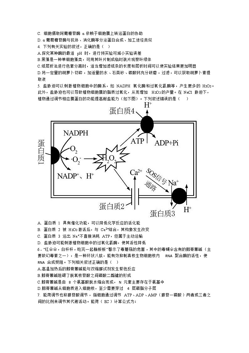 山东省东营市2022-2023学年高二下学期期末考试生物试题02