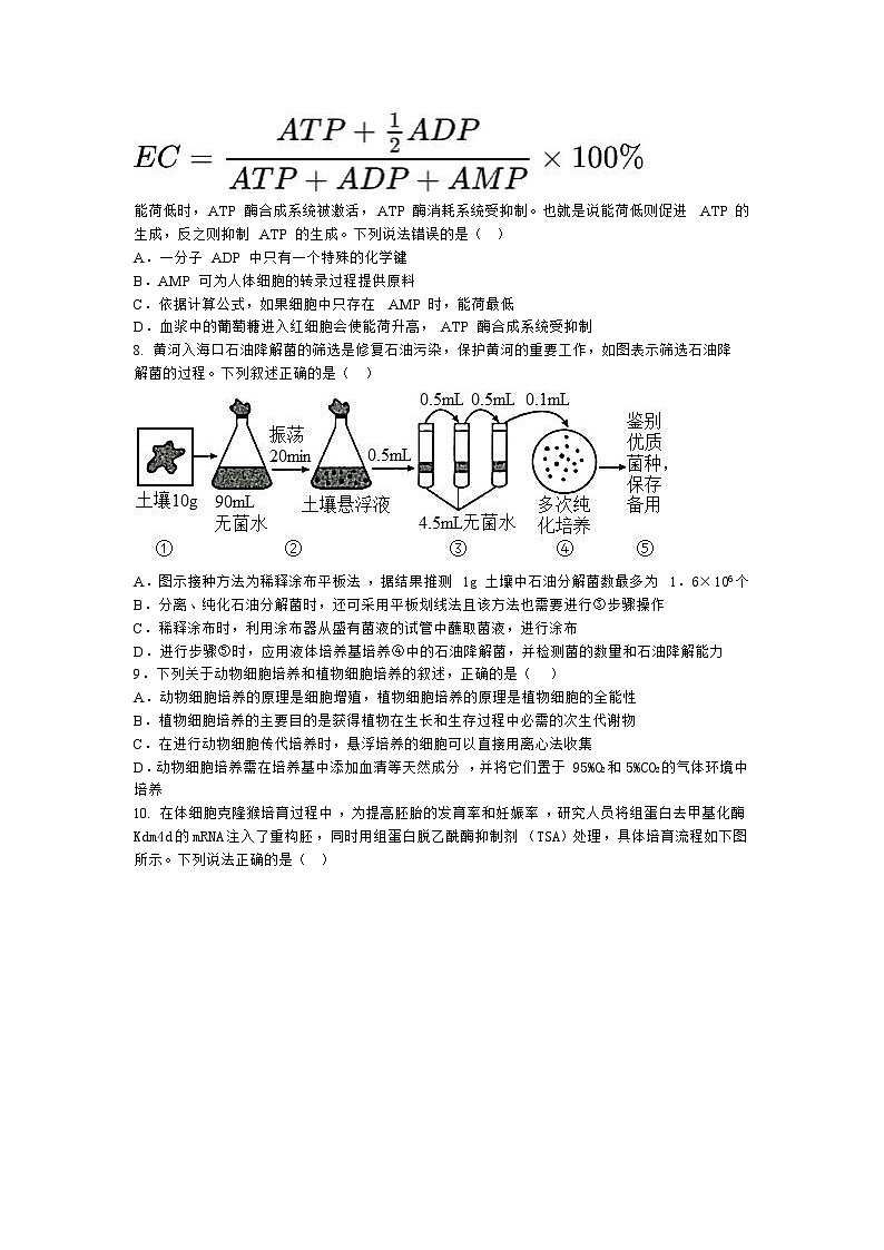 山东省东营市2022-2023学年高二下学期期末考试生物试题03