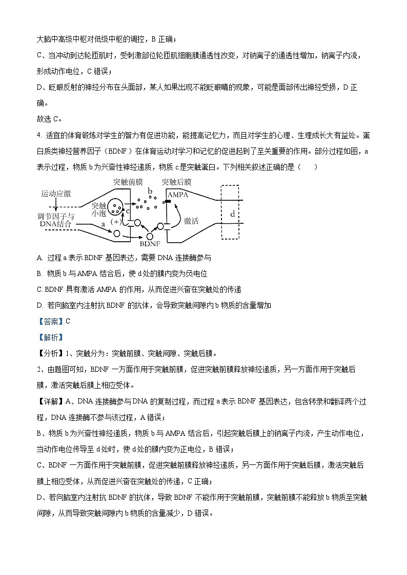 山东省菏泽市鄄城县一中2022-2023学年高二上学期期末生物试题（解析版）03