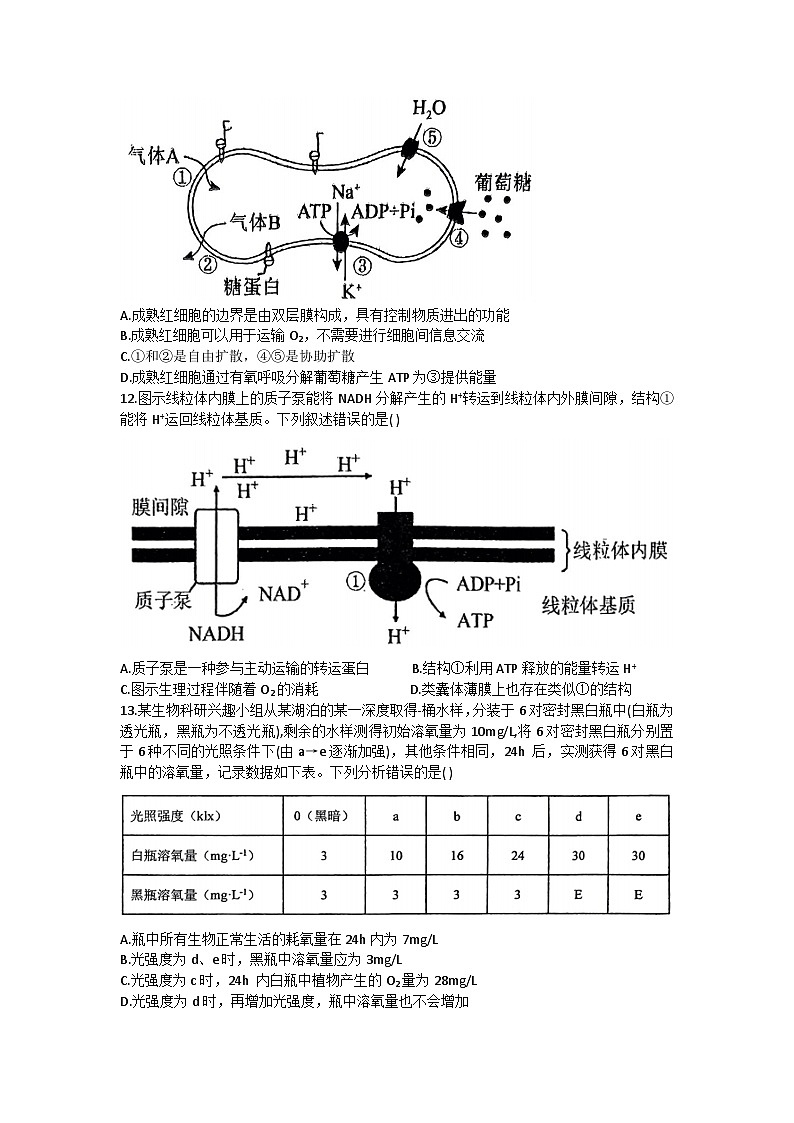 陕西省西安市铁一中学2022-2023学年高二下学期期末考试生物试题03