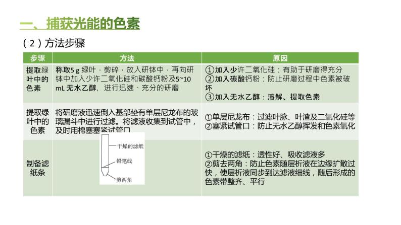 高中生物人教版（2019）必修1第五章5.4《光合作用与能量转化》课件+同步练习04