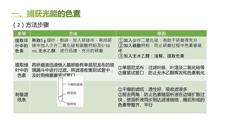 高中生物人教版（2019）必修1第五章5.4《光合作用与能量转化》课件+同步练习04