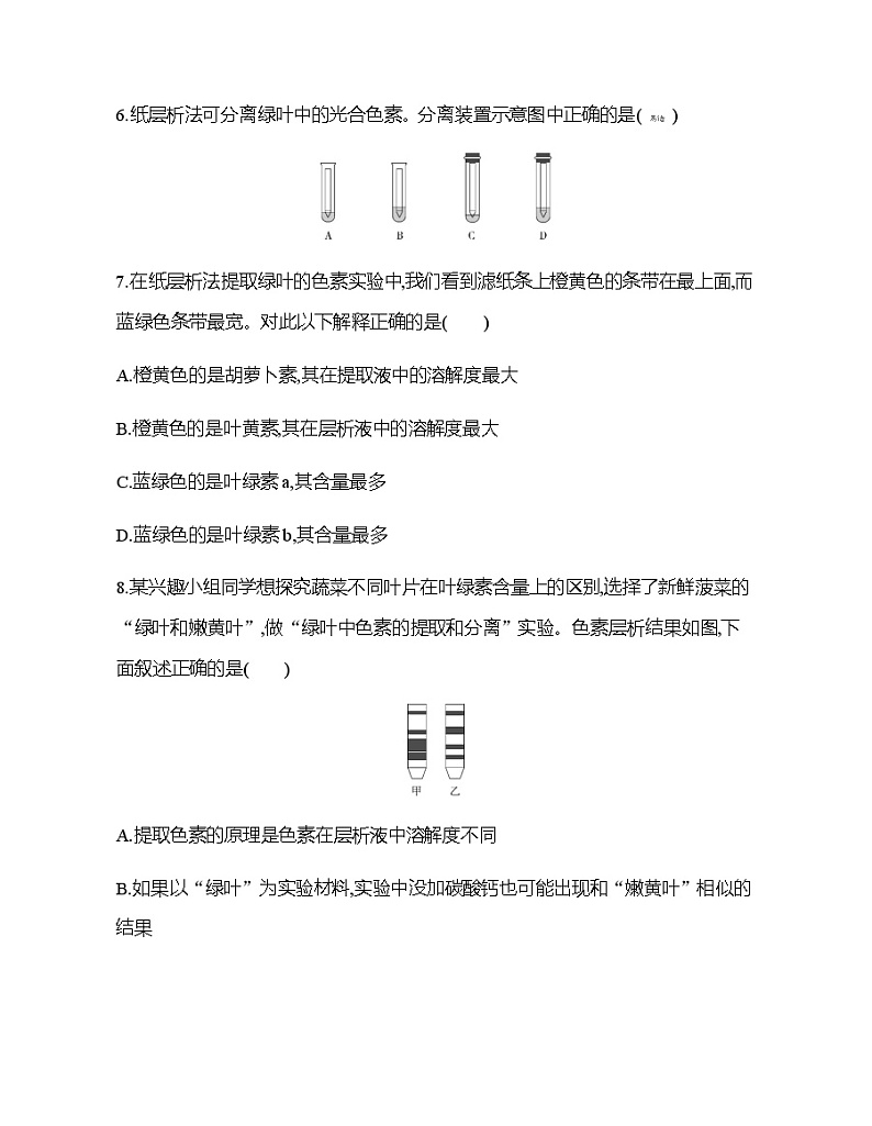 高中生物人教版（2019）必修1第五章5.4《光合作用与能量转化》课件+同步练习03