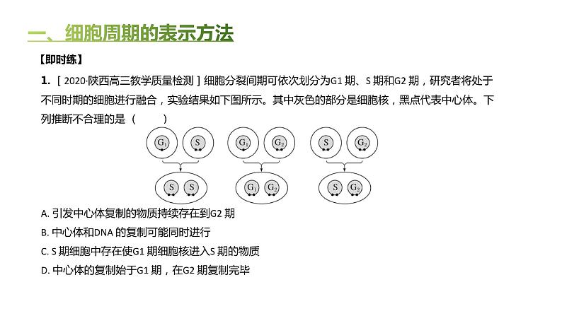 高中生物人教版（2019）必修1第六章6.1《细胞的增殖》课件+同步练习07