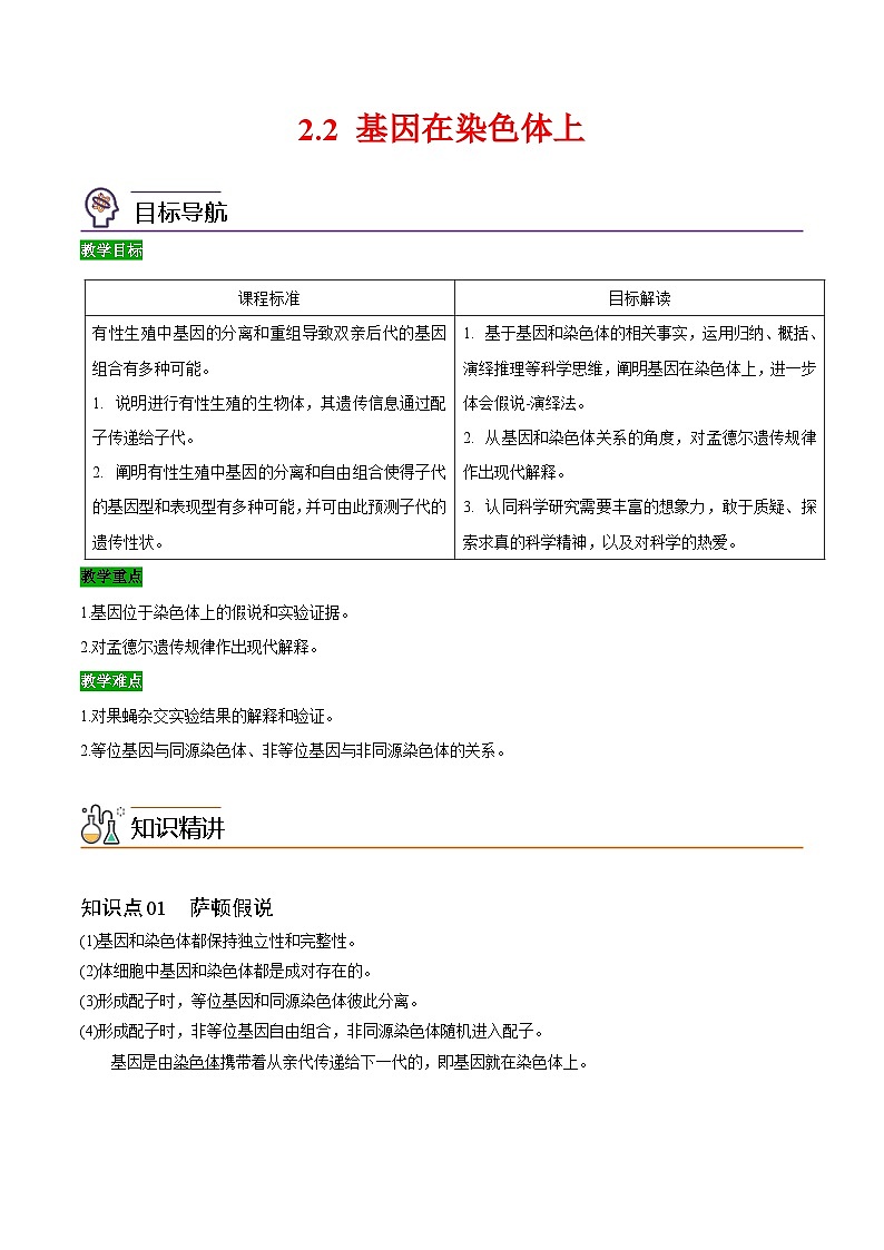 人教版(必修二)高中生物同步精品讲义2.2 基因在染色体上（2份打包，原卷版+教师版）01
