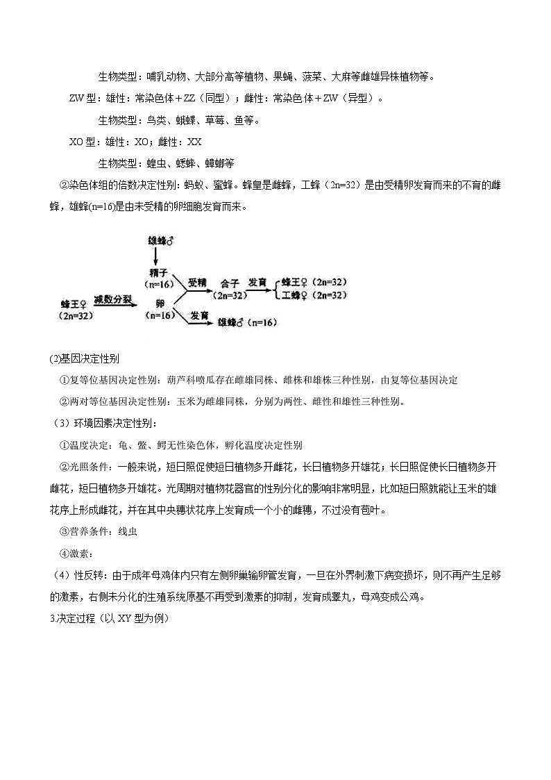人教版(必修二)高中生物同步精品讲义2.3 伴性遗传（2份打包，原卷版+教师版）02