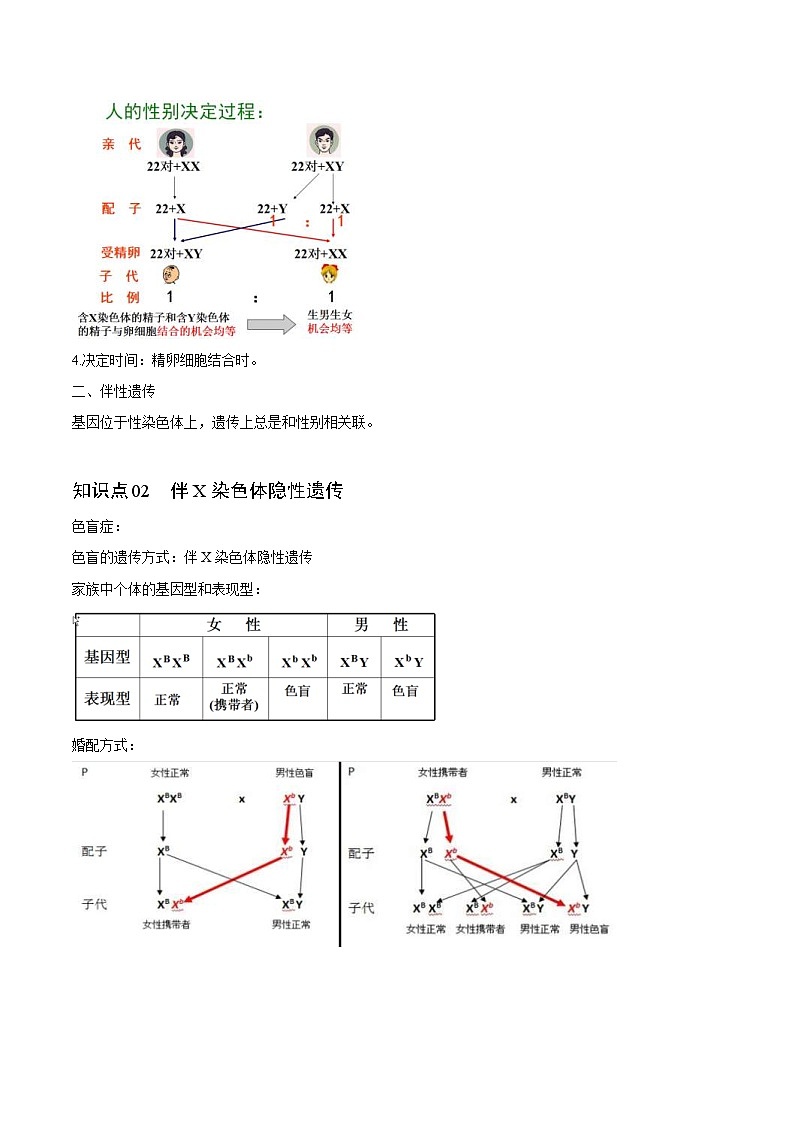 人教版(必修二)高中生物同步精品讲义2.3 伴性遗传（2份打包，原卷版+教师版）03