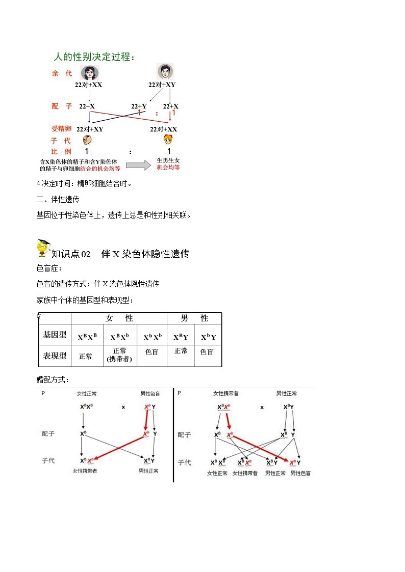 人教版(必修二)高中生物同步精品讲义2.3 伴性遗传（2份打包，原卷版+教师版）03