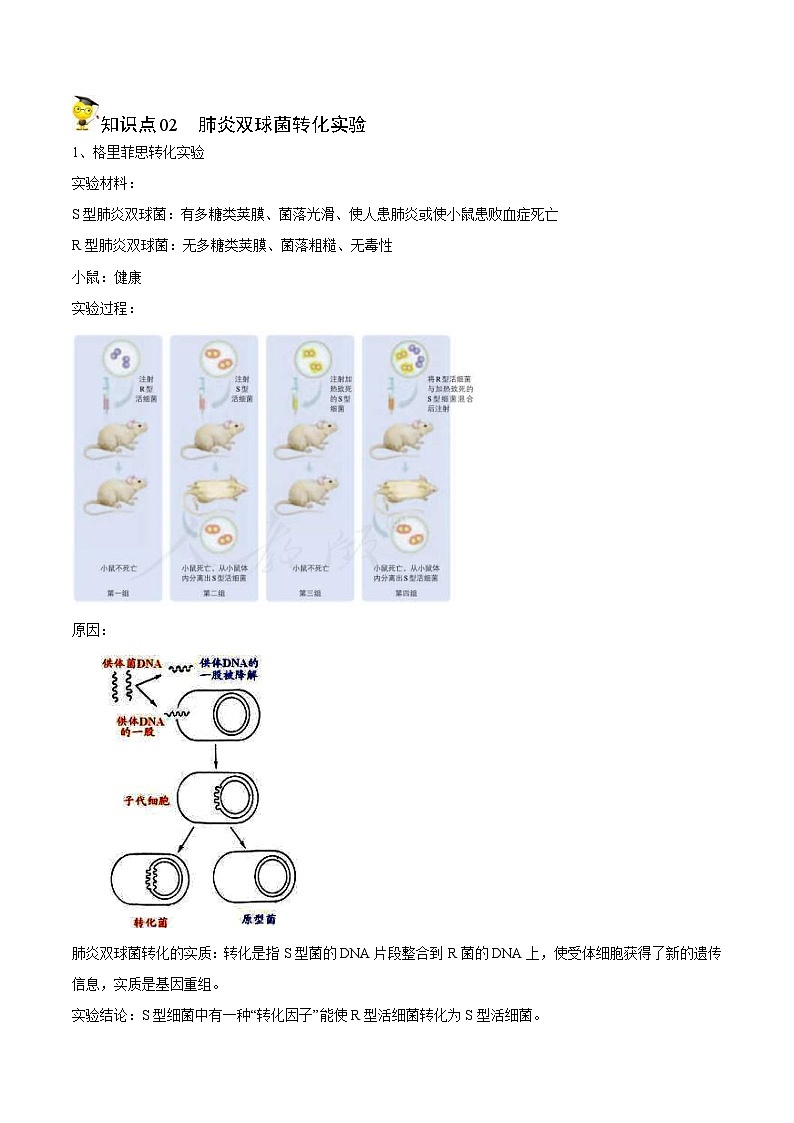 人教版(必修二)高中生物同步精品讲义3.1 DNA是主要的遗传物质（2份打包，原卷版+教师版）02