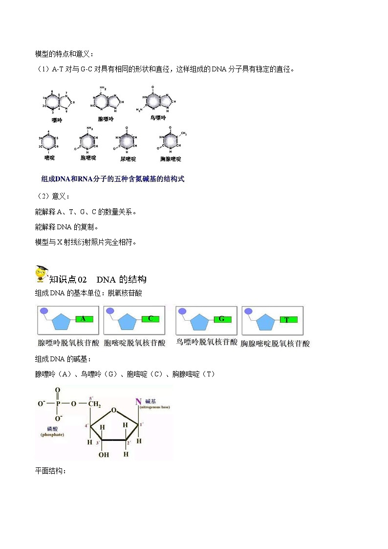 人教版(必修二)高中生物同步精品讲义3.2 DNA的结构（2份打包，原卷版+教师版）02