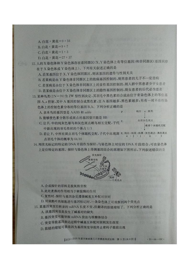 2020届河南省高三上学期入学摸底考试生物试题 PDF版03