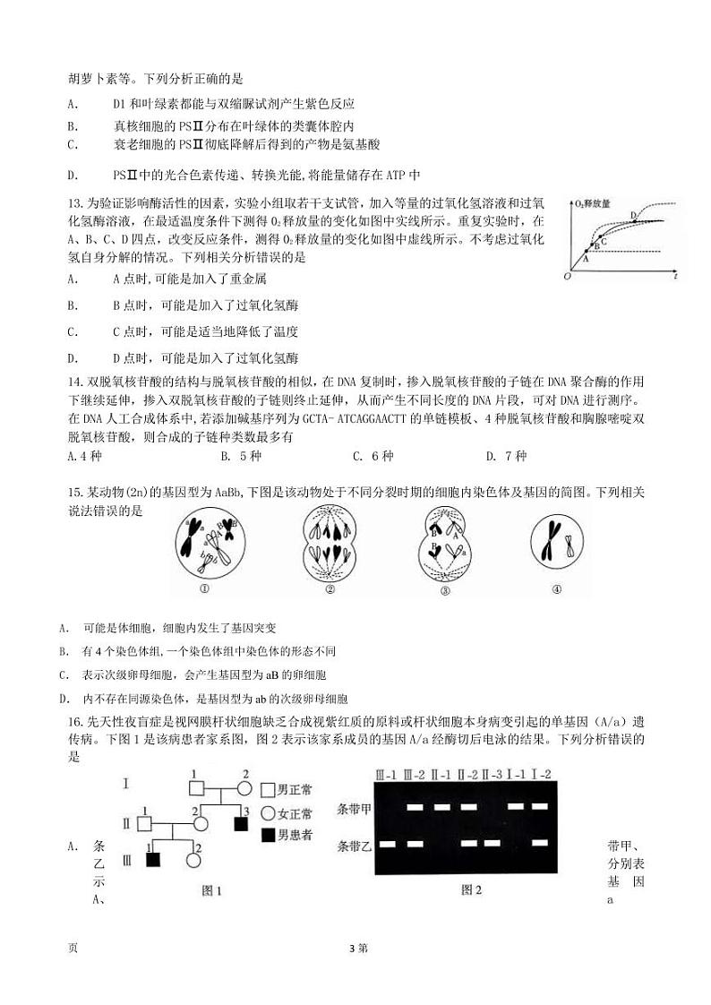 2022-2023学年河南省高三上学期入学摸底考试（一）生物试卷（PDF版）03