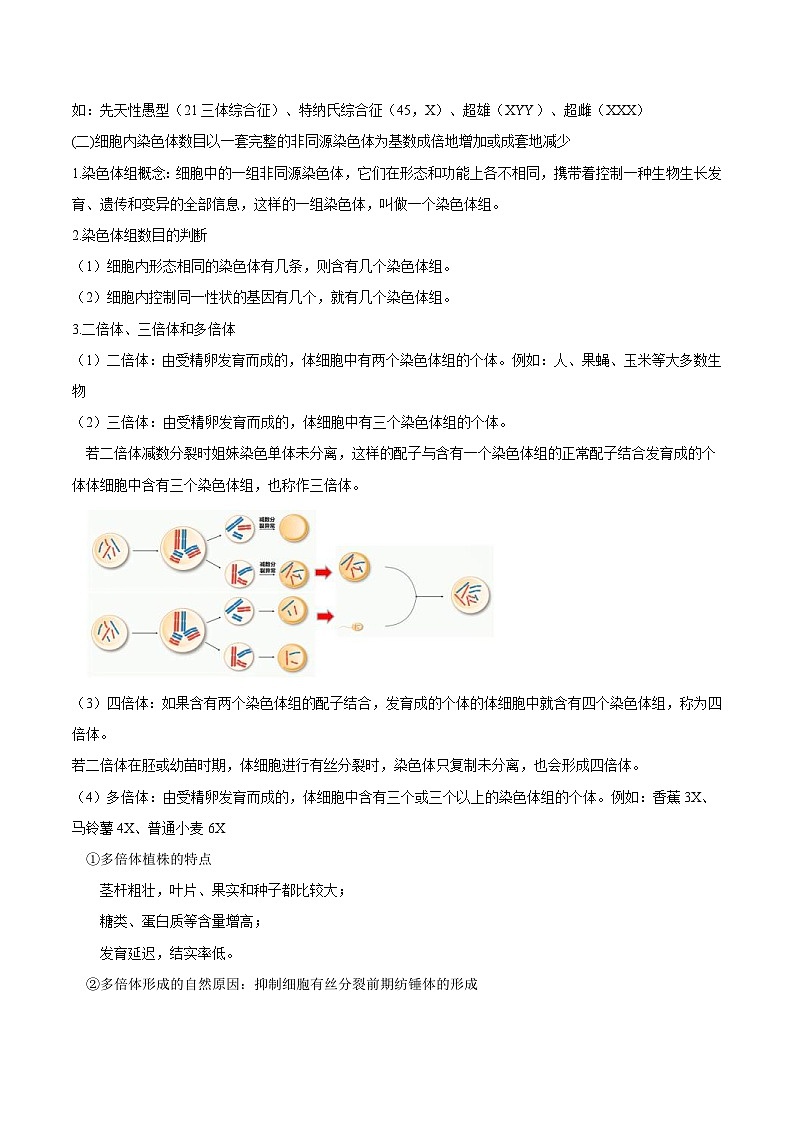 人教版(必修二)高中生物同步精品讲义5.2 染色体变异（2份打包，原卷版+教师版）02