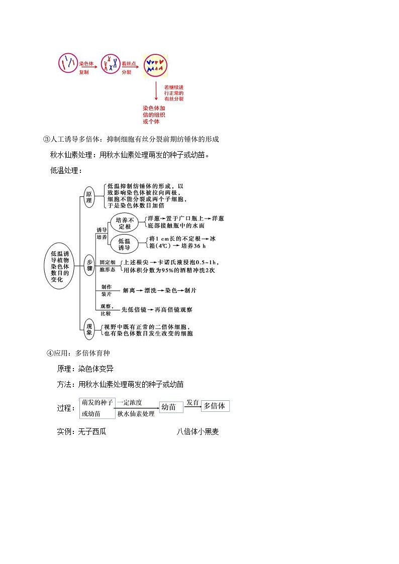人教版(必修二)高中生物同步精品讲义5.2 染色体变异（2份打包，原卷版+教师版）03