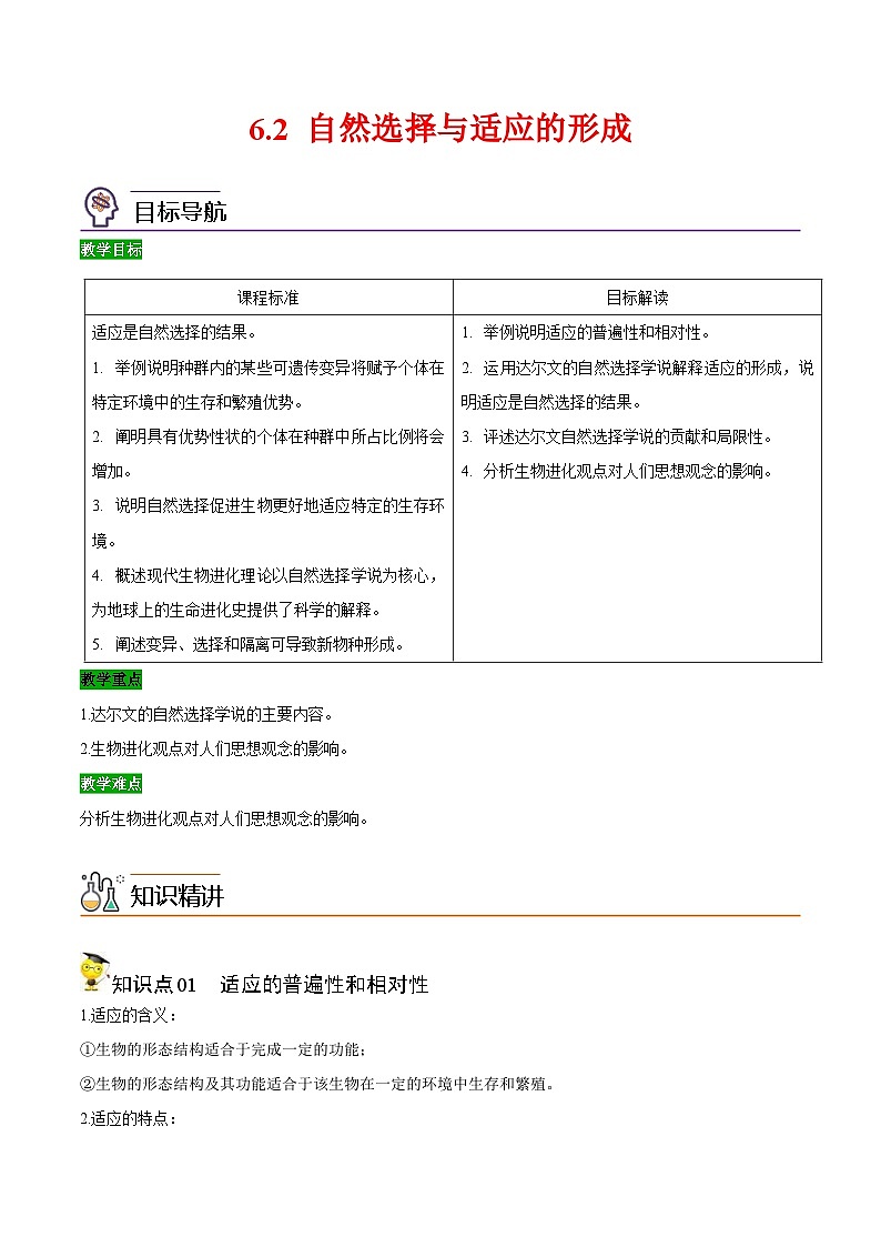 人教版(必修二)高中生物同步精品讲义6.2 自然选择与适应的形成（2份打包，原卷版+教师版）01