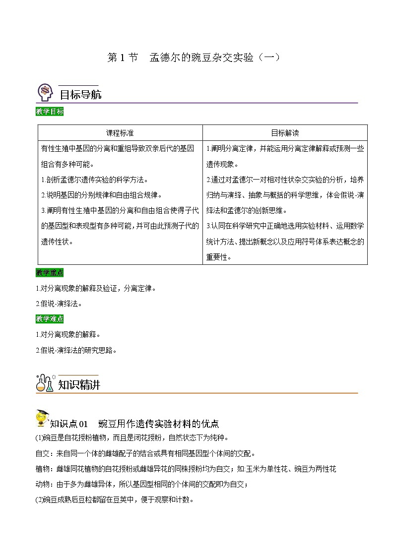 人教版(必修二)高中生物同步精品讲义1.1 孟德尔的豌豆杂交实验（一）（2份打包，原卷版+教师版）01