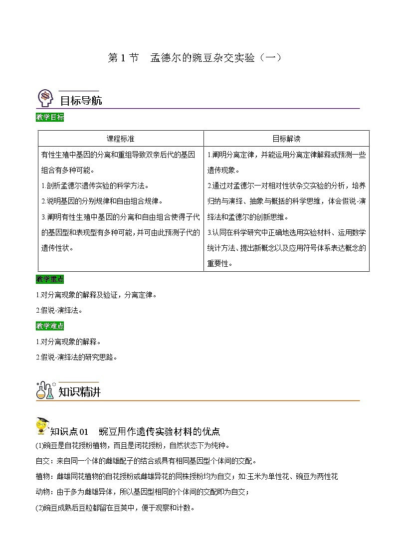 人教版(必修二)高中生物同步精品讲义1.1 孟德尔的豌豆杂交实验（一）（2份打包，原卷版+教师版）01