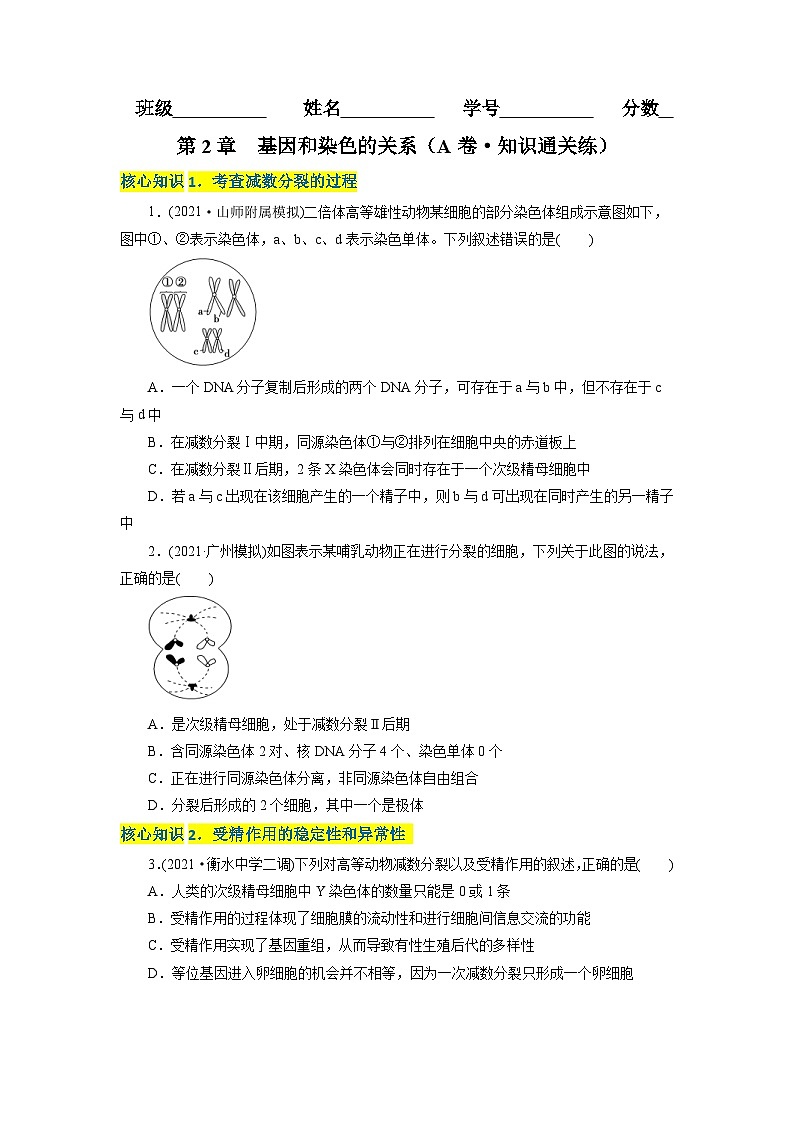 人教版(必修二)高中生物分层训练AB卷第2章  基因和染色体的关系（A卷·知识通关练）（2份打包，原卷版+教师版）01
