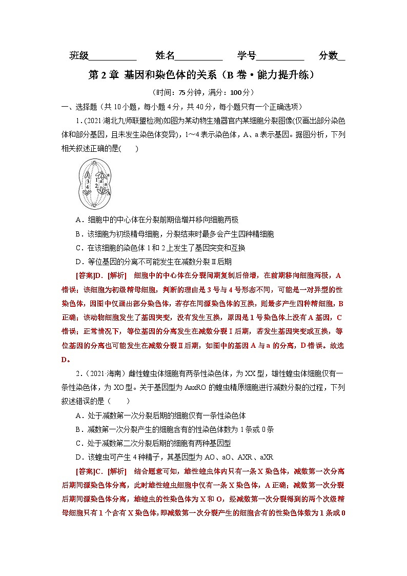 人教版(必修二)高中生物分层训练AB卷第2章 基因和染色体的关系（B卷·能力提升练）（2份打包，原卷版+教师版）01