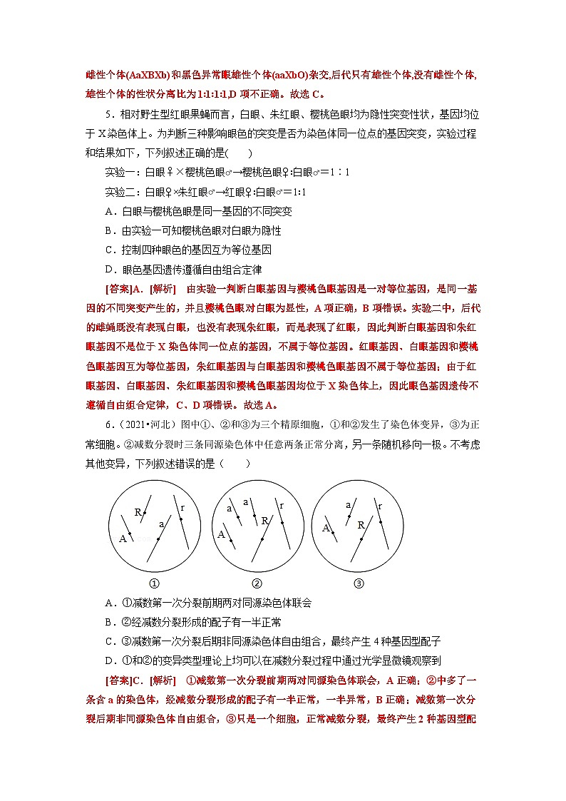 人教版(必修二)高中生物分层训练AB卷第2章 基因和染色体的关系（B卷·能力提升练）（2份打包，原卷版+教师版）03