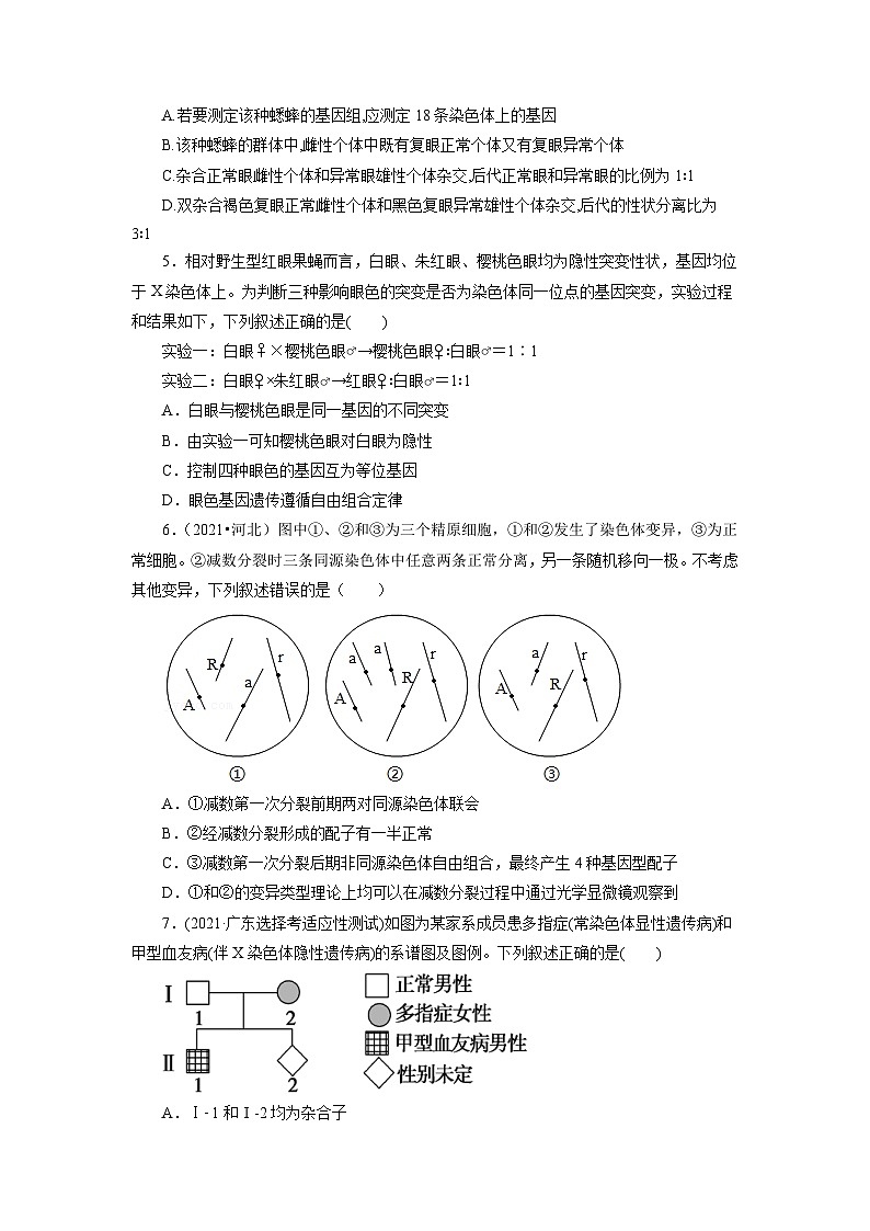 人教版(必修二)高中生物分层训练AB卷第2章 基因和染色体的关系（B卷·能力提升练）（2份打包，原卷版+教师版）02