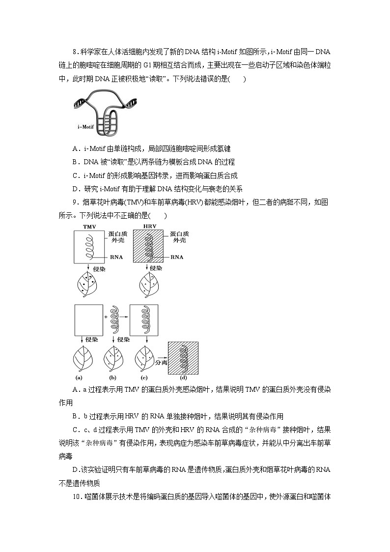 人教版(必修二)高中生物分层训练AB卷第3章 基因的本质（B卷·能力提升练）（原卷版）第3页