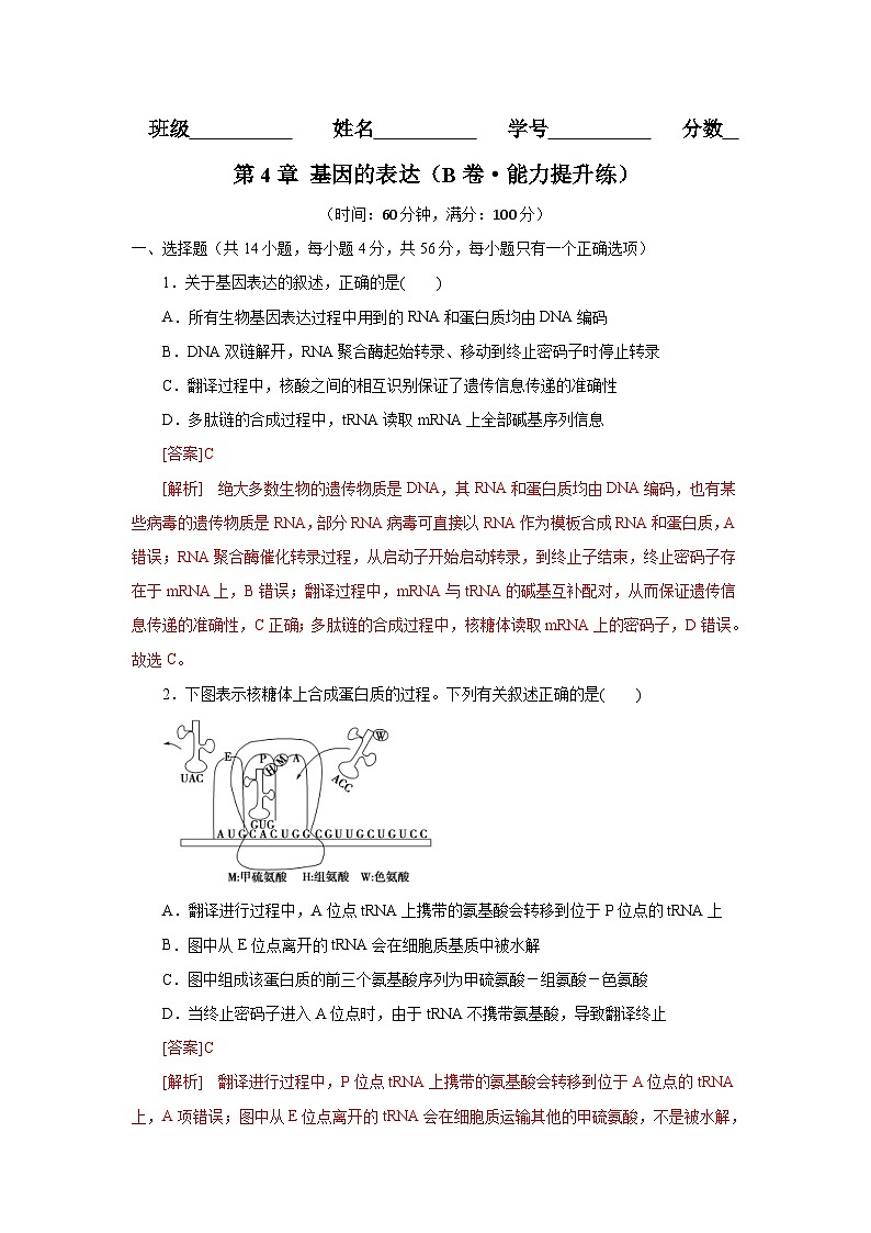 人教版(必修二)高中生物分层训练AB卷第4章 基因的表达（B卷·能力提升练）（2份打包，原卷版+教师版）01