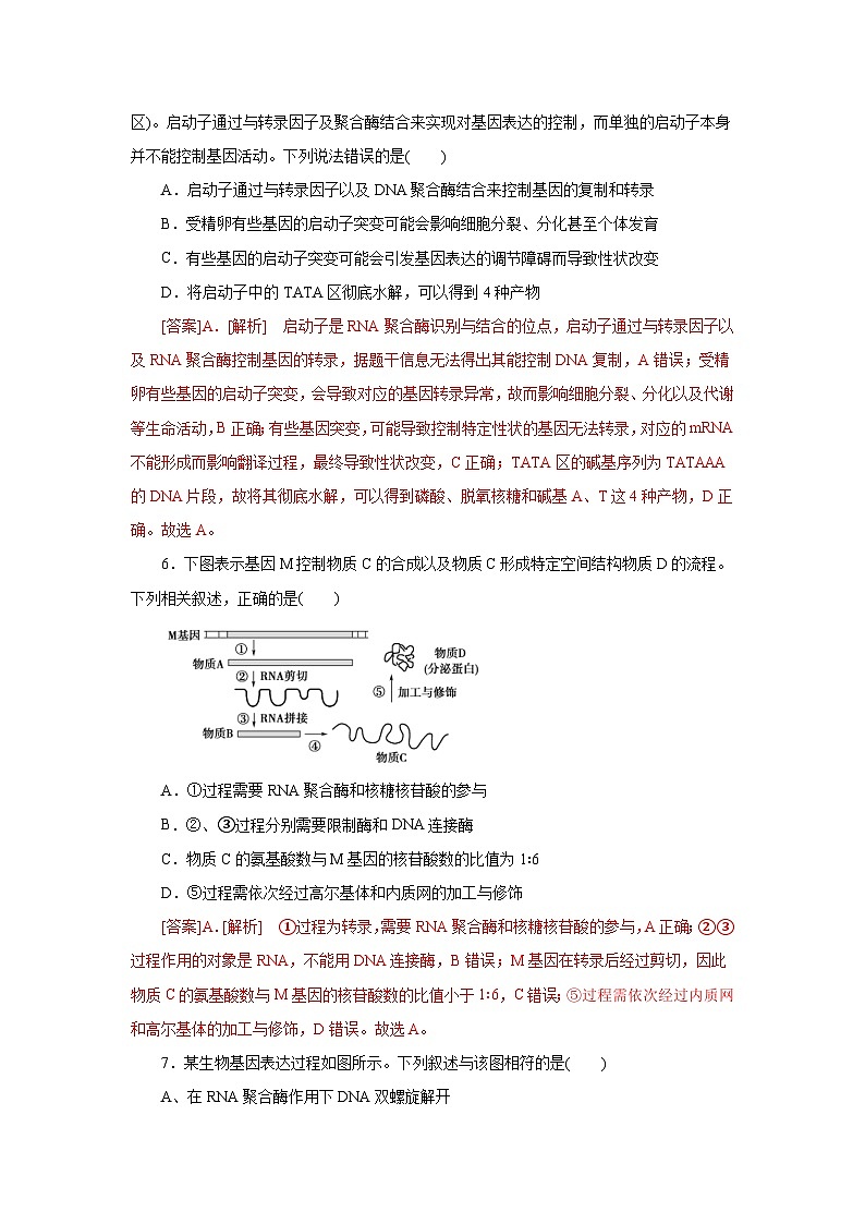 人教版(必修二)高中生物分层训练AB卷第4章 基因的表达（B卷·能力提升练）（2份打包，原卷版+教师版）03