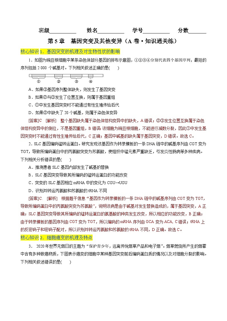 人教版(必修二)高中生物分层训练AB卷第5章  基因突变及其他变异（A卷·知识通关练）（教师版）第1页