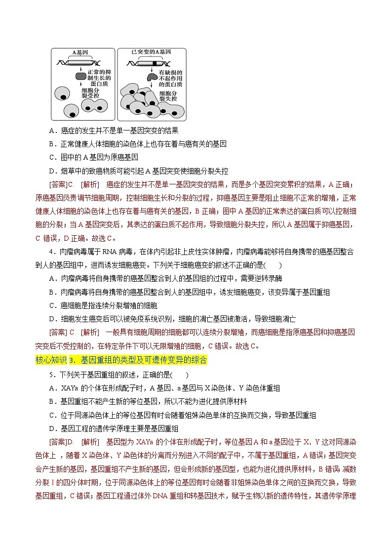 人教版(必修二)高中生物分层训练AB卷第5章  基因突变及其他变异（A卷·知识通关练）（教师版）第2页