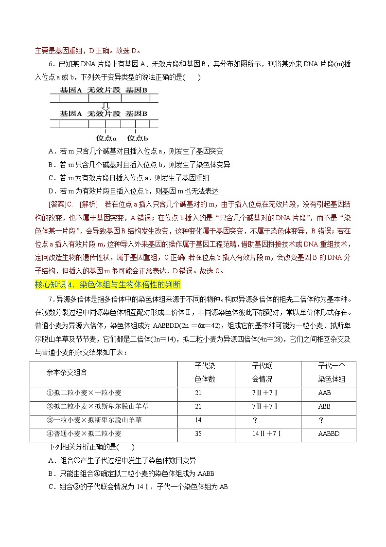 人教版(必修二)高中生物分层训练AB卷第5章  基因突变及其他变异（A卷·知识通关练）（教师版）第3页