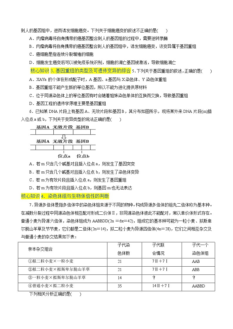 人教版(必修二)高中生物分层训练AB卷第5章  基因突变及其他变异（A卷·知识通关练）（原卷版）第2页