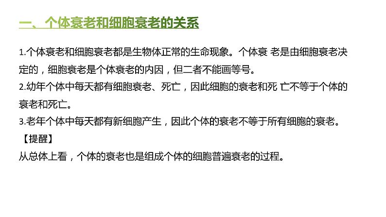 高中生物人教版（2019）必修1第六章6.3《细胞的衰老和死亡》课件+同步练习03