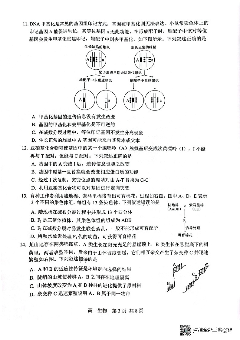 江苏省苏州市2022-2023学年高一下学期期末学业质量阳光指标调研生物试卷03