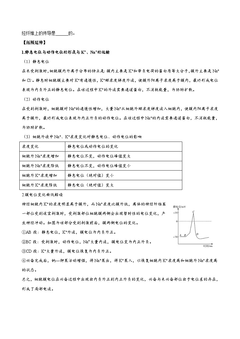 人教版(选择性必修一)高中生物同步精品讲义2.3 神经冲动的产生和传导（2份打包，原卷版+教师版）03