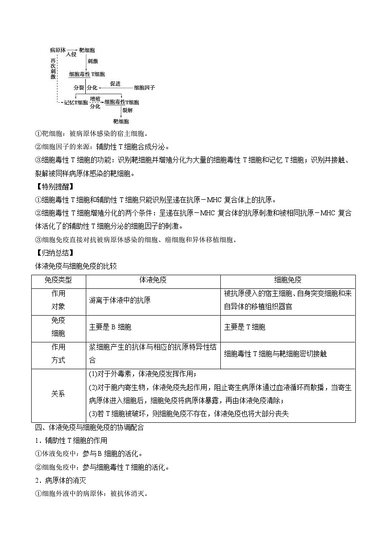 人教版(选择性必修一)高中生物同步精品讲义4.2 特异性免疫（2份打包，原卷版+教师版）03