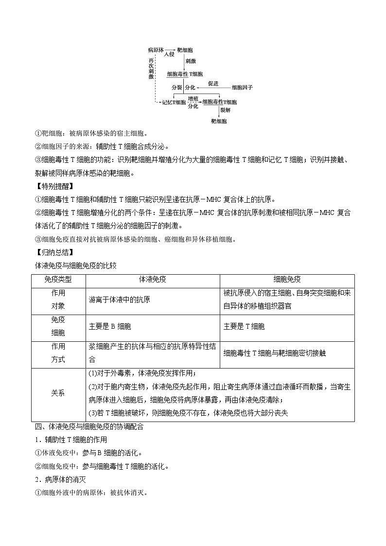 人教版(选择性必修一)高中生物同步精品讲义4.2 特异性免疫（2份打包，原卷版+教师版）03