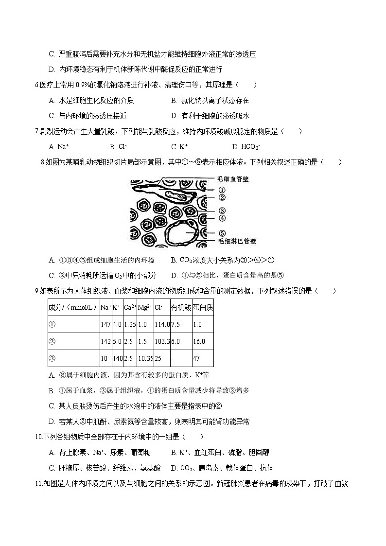 人教版(选择性必修一)高中生物分层训练AB卷第1章 人体的内环境与稳态（知识通关练）（2份打包，原卷版+教师版）02