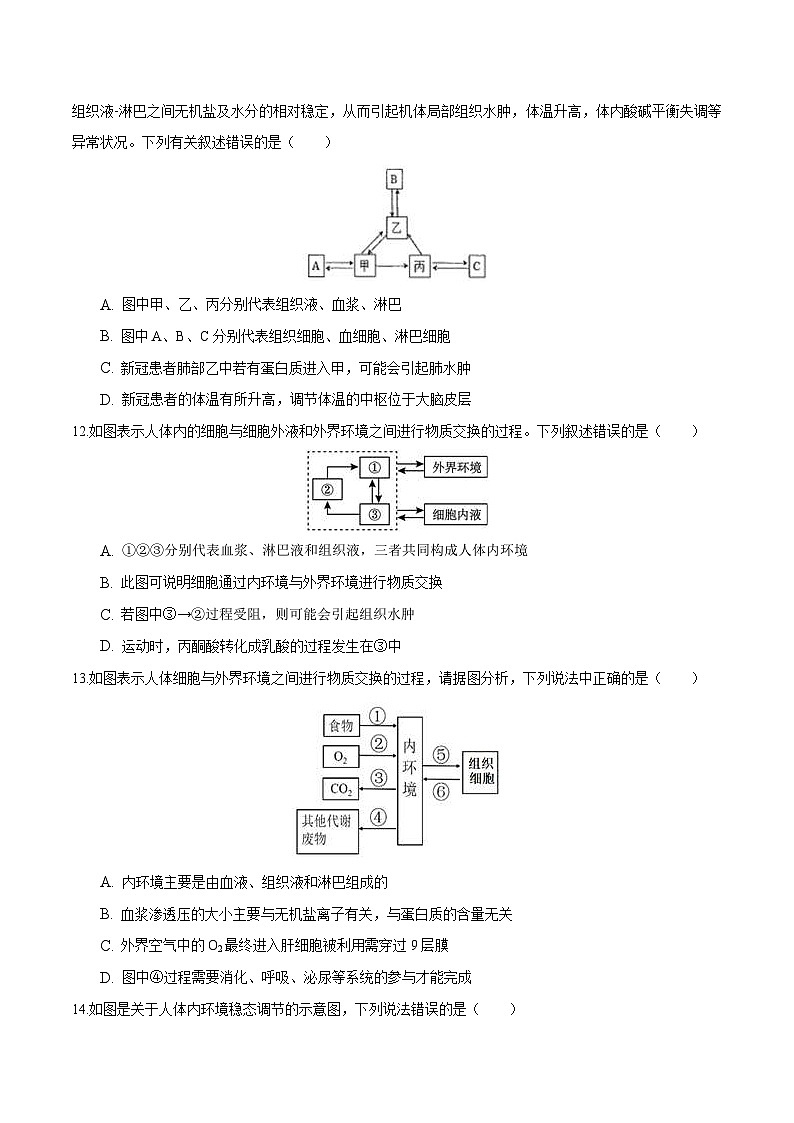人教版(选择性必修一)高中生物分层训练AB卷第1章 人体的内环境与稳态（知识通关练）（2份打包，原卷版+教师版）03