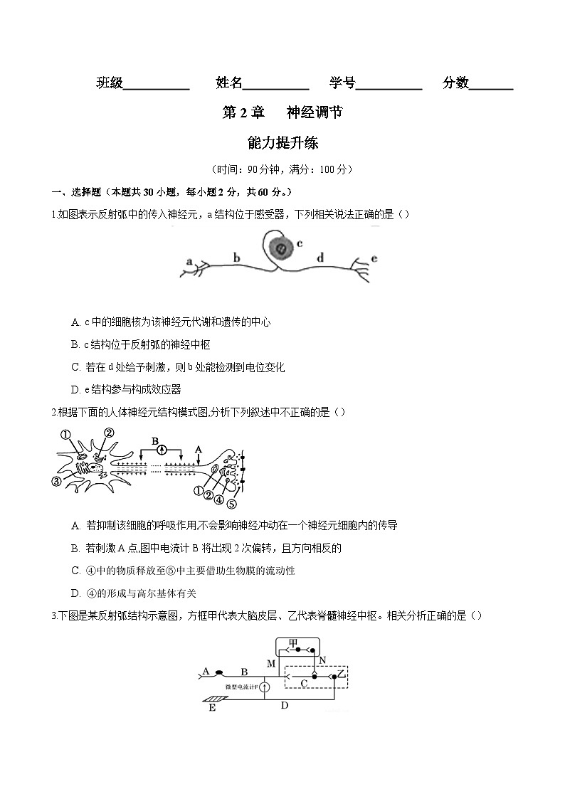 人教版(选择性必修一)高中生物分层训练AB卷第2章 神经调节（能力提升练）（2份打包，原卷版+教师版）01