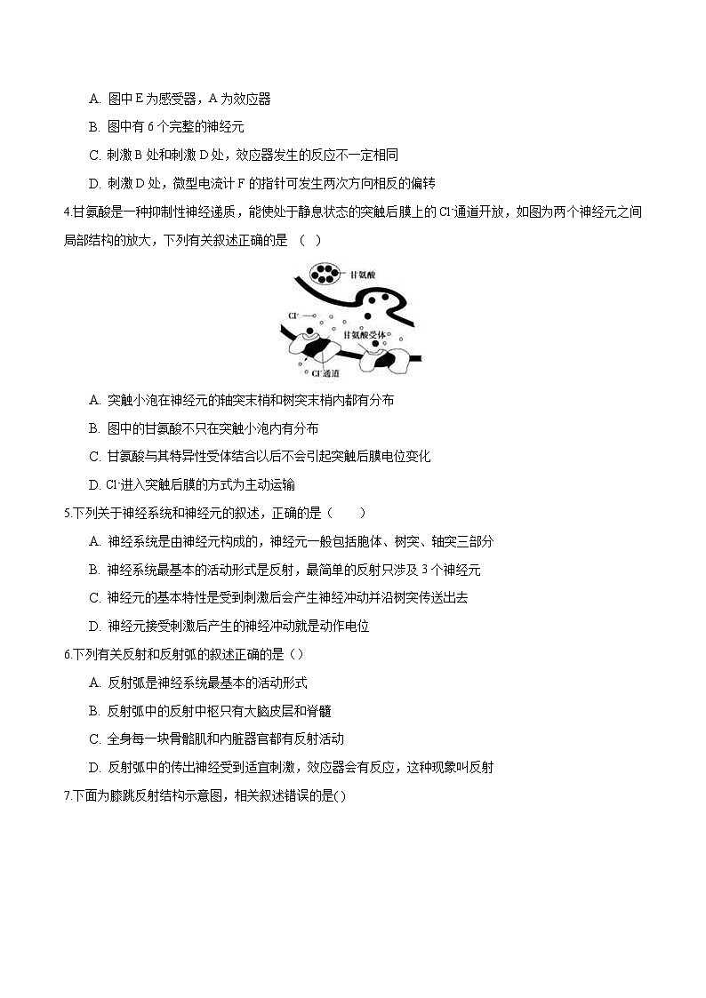 人教版(选择性必修一)高中生物分层训练AB卷第2章 神经调节（能力提升练）（2份打包，原卷版+教师版）02