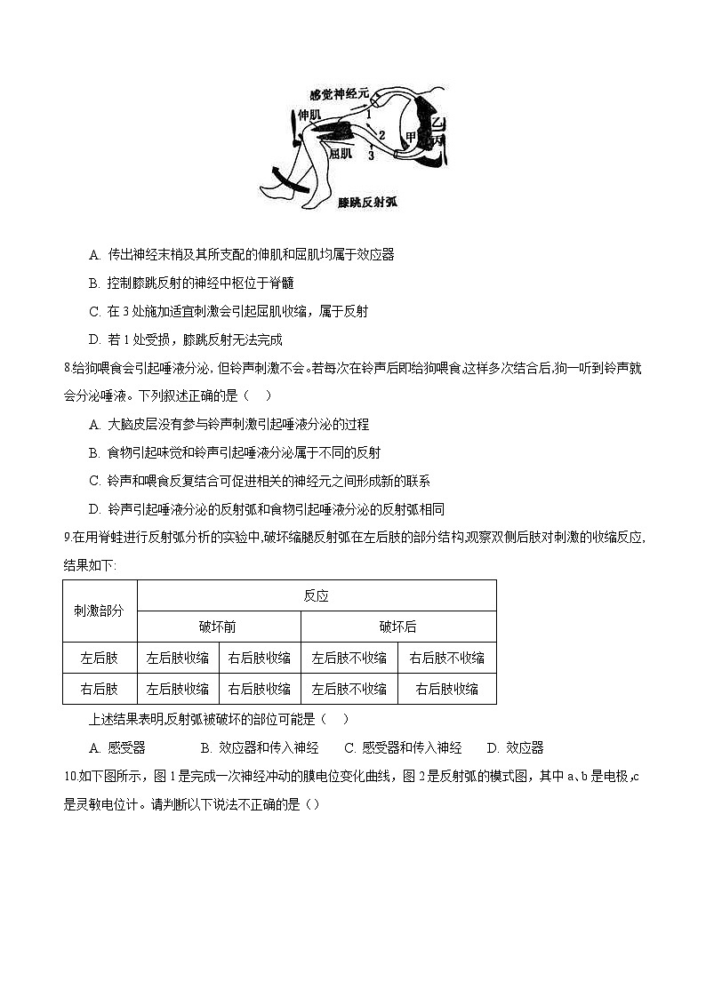 人教版(选择性必修一)高中生物分层训练AB卷第2章 神经调节（能力提升练）（2份打包，原卷版+教师版）03