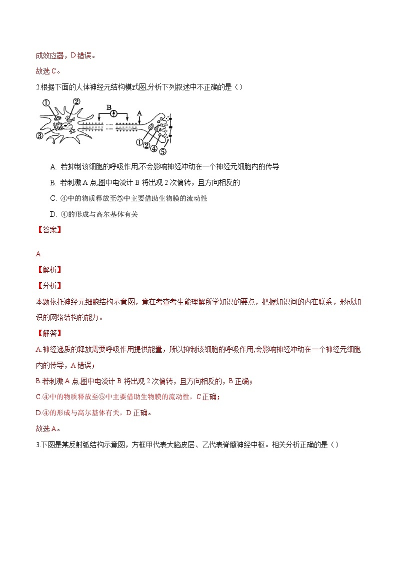 人教版(选择性必修一)高中生物分层训练AB卷第2章 神经调节（能力提升练）（2份打包，原卷版+教师版）02